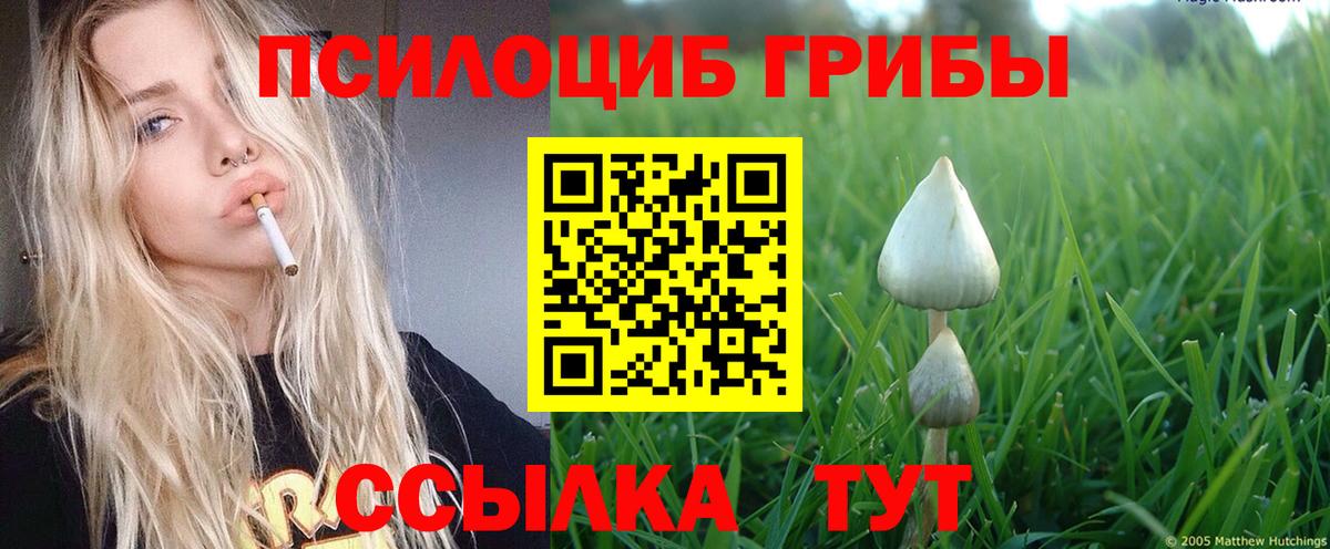 Галлюциногенные грибы мухоморы  Вход с VPN  Псилоцибиновые грибы Magic Shrooms  Северск 