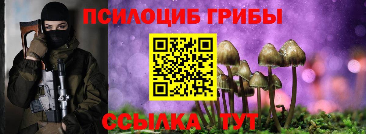 Псилоцибиновые грибы мицелий Северск